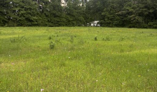 Photo #5 of 1416 Wheeler, Whiteville, NC 3.7 acres