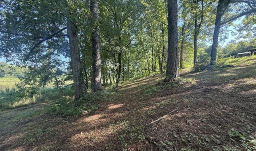 Photo #32 of 292 Salty Dog, North Augusta, SC 1.4 acres