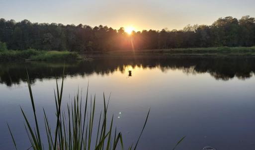 Photo #43 of 292 Salty Dog, North Augusta, SC 1.4 acres