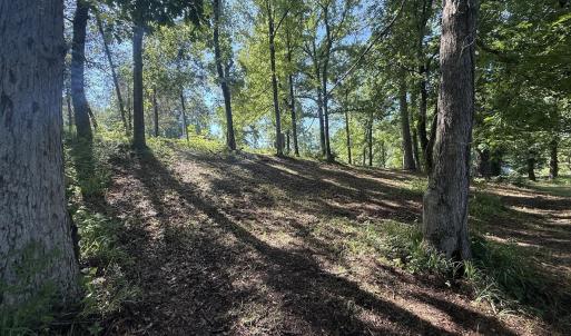 Photo #22 of 292 Salty Dog, North Augusta, SC 1.4 acres