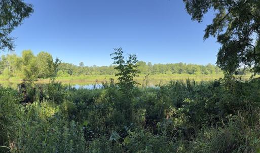 Photo #35 of 292 Salty Dog, North Augusta, SC 1.4 acres