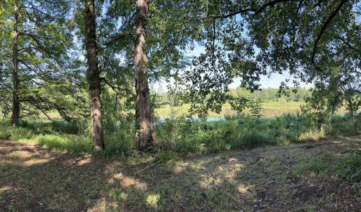 Photo #34 of 292 Salty Dog, North Augusta, SC 1.4 acres