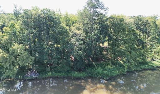Photo #41 of 292 Salty Dog, North Augusta, SC 1.4 acres