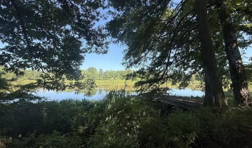 Photo #38 of 292 Salty Dog, North Augusta, SC 1.4 acres