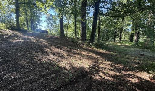 Photo #37 of 292 Salty Dog, North Augusta, SC 1.4 acres