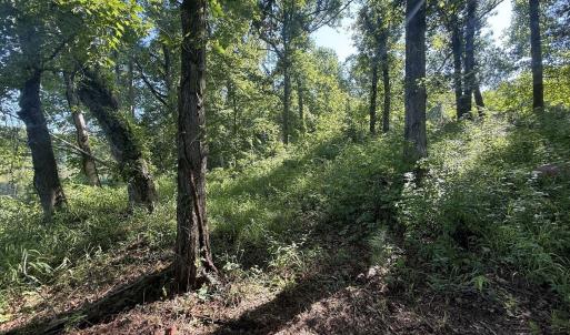 Photo #23 of 292 Salty Dog, North Augusta, SC 1.4 acres