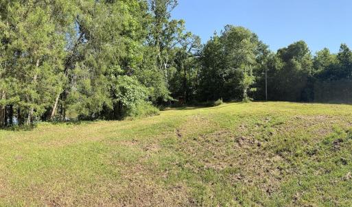Photo #28 of 292 Salty Dog, North Augusta, SC 1.4 acres