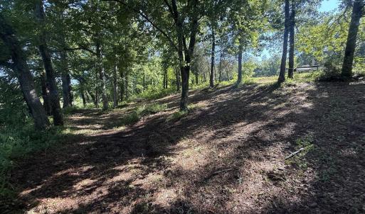 Photo #36 of 292 Salty Dog, North Augusta, SC 1.4 acres
