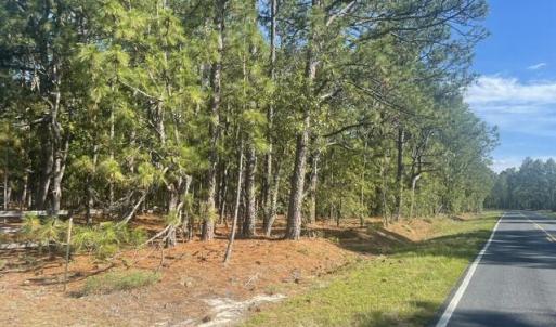 Photo #3 of 1035 Flowers, Jackson Springs, NC 10.3 acres