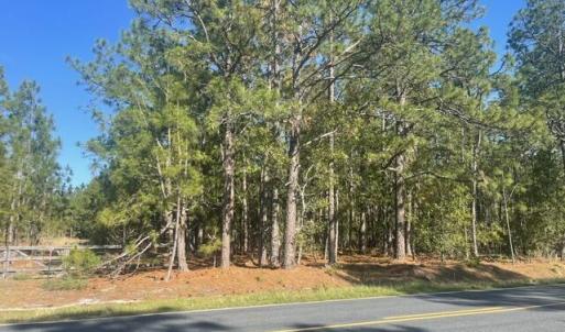 Photo #1 of 1035 Flowers, Jackson Springs, NC 10.3 acres