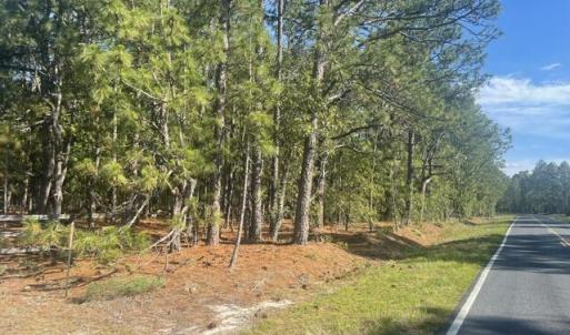 Photo #3 of 1035 Flowers, Jackson Springs, NC 10.3 acres
