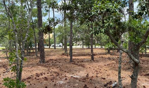 Photo #4 of 2550 Parkridge, Southport, NC 0.4 acres