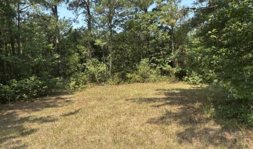 Photo #1 of 1721 Small Town, Pink Hill, NC 7.8 acres