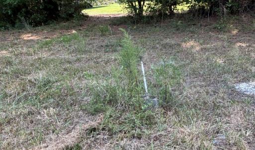 Photo #19 of 1721 Small Town, Pink Hill, NC 7.8 acres