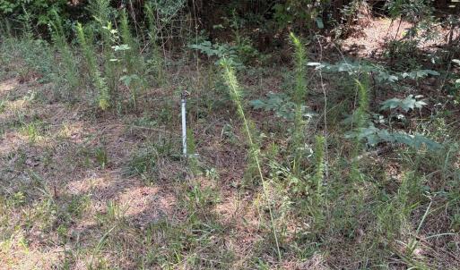 Photo #17 of 1721 Small Town, Pink Hill, NC 7.8 acres