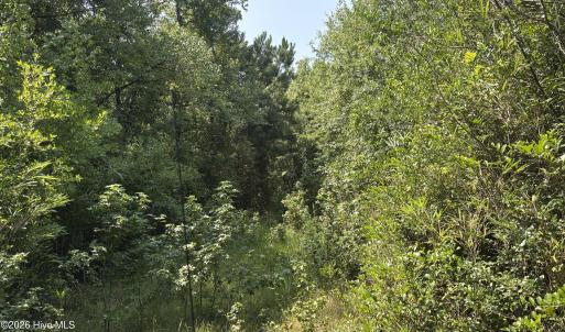 Photo #13 of 1721 Small Town, Pink Hill, NC 7.8 acres