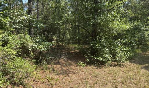 Photo #4 of 1721 Small Town, Pink Hill, NC 7.8 acres