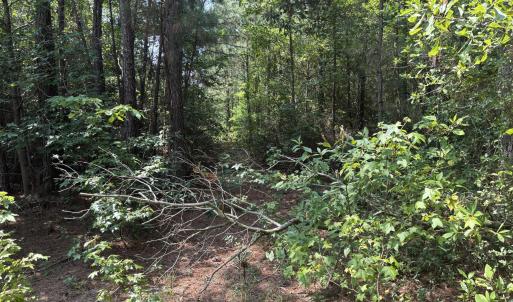 Photo #3 of 1721 Small Town, Pink Hill, NC 7.8 acres