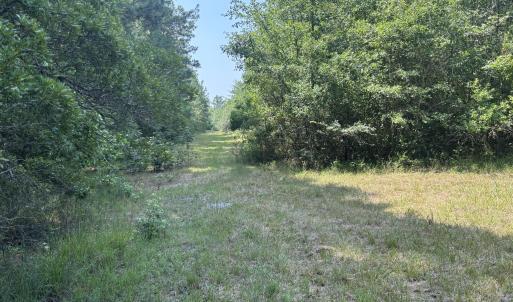 Photo #9 of 1721 Small Town, Pink Hill, NC 7.8 acres