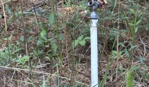 Photo #18 of 1721 Small Town, Pink Hill, NC 7.8 acres