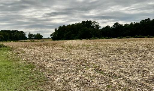 Photo #1 of 644 Cherry Town, Hallsboro, NC 37.0 acres
