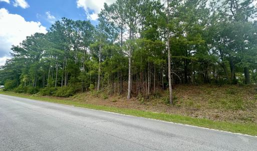 Photo #1 of Tbd Wetherington Landing, Stella, NC 1.7 acres