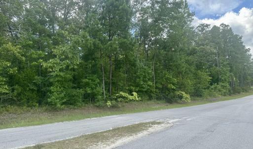 Photo #2 of Tbd Wetherington Landing, Stella, NC 1.7 acres
