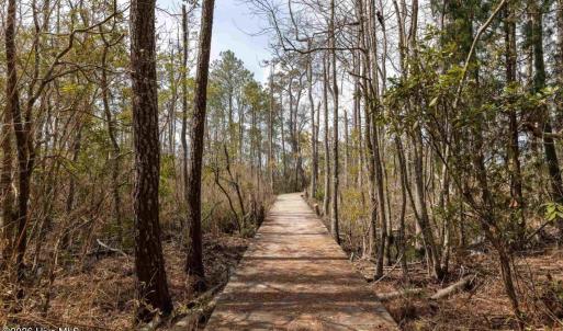 Photo #12 of 164 Chicora, Manteo, NC 0.5 acres