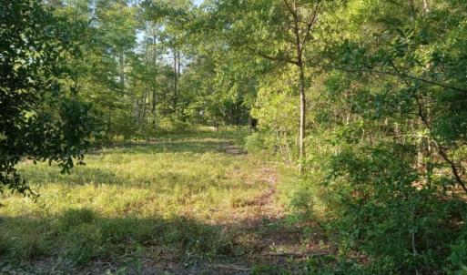 Photo #11 of 164 Chicora, Manteo, NC 0.5 acres