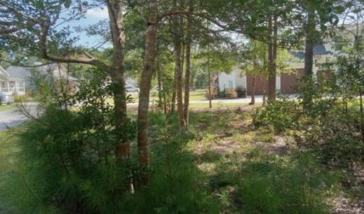 Photo #6 of 164 Chicora, Manteo, NC 0.5 acres