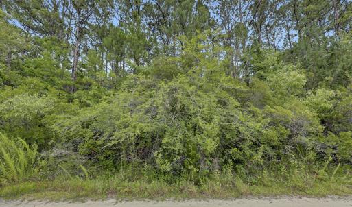 Photo #64 of 12 Green Acres, Hampstead, NC 1.0 acres