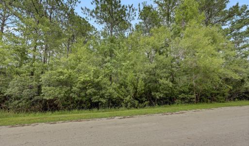 Photo #11 of 12 Green Acres, Hampstead, NC 1.0 acres