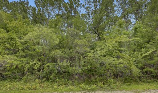 Photo #76 of 12 Green Acres, Hampstead, NC 1.0 acres