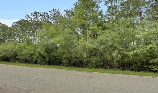 Photo #10 of 12 Green Acres, Hampstead, NC 1.0 acres