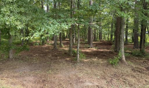 Photo #6 of Winfield, Pinetown, NC 0.9 acres