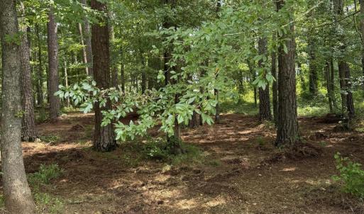 Photo #8 of Winfield, Pinetown, NC 0.9 acres