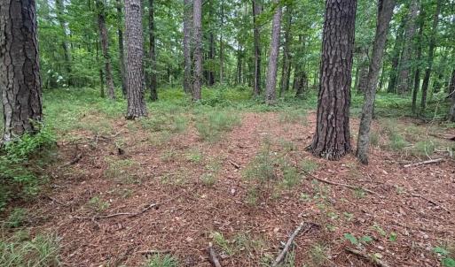 Photo #3 of Winfield, Pinetown, NC 0.9 acres
