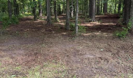 Photo #7 of Winfield, Pinetown, NC 0.9 acres