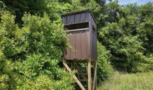 Photo #19 of Bethesda Church, Fairmont, NC 115.0 acres