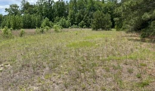Photo #30 of Bethesda Church, Fairmont, NC 115.0 acres