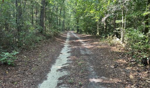 Photo #20 of Bethesda Church, Fairmont, NC 115.0 acres