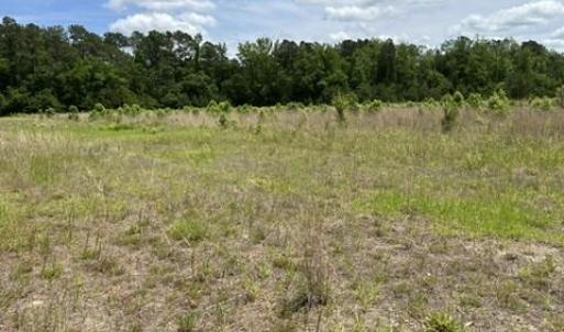 Photo #29 of Bethesda Church, Fairmont, NC 115.0 acres
