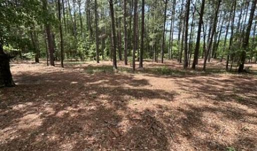 Photo #27 of Bethesda Church, Fairmont, NC 115.0 acres