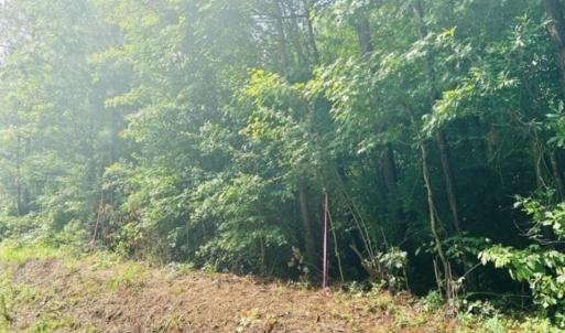 Photo #1 of 1-A New Delaughter, North Augusta, SC 6.5 acres
