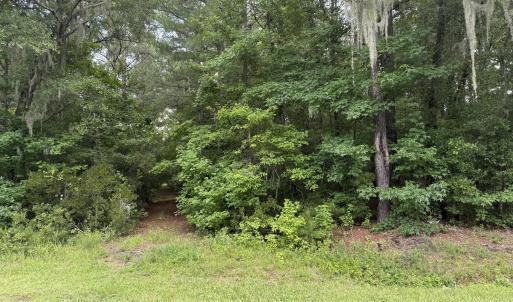 Photo #15 of Nc 33 Off, Aurora, NC 115.0 acres