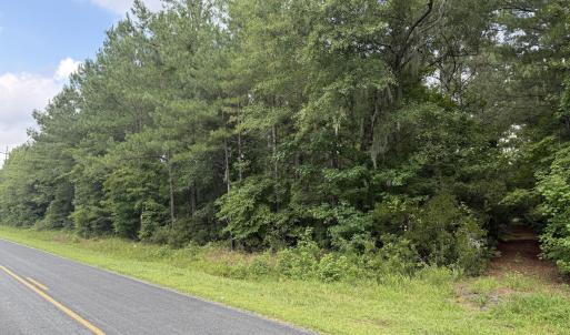Photo #17 of Nc 33 Off, Aurora, NC 115.0 acres