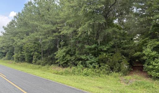 Photo #16 of Nc 33 Off, Aurora, NC 115.0 acres