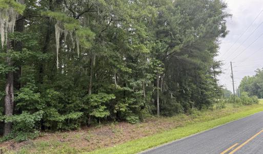 Photo #14 of Nc 33 Off, Aurora, NC 115.0 acres