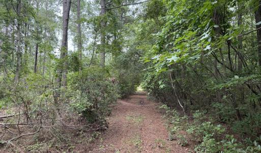 Photo #5 of Nc 33 Off, Aurora, NC 115.0 acres