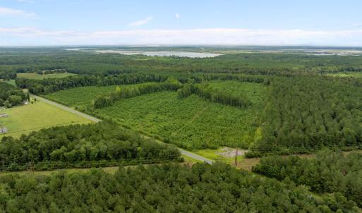 Photo #3 of Nc 33 Off, Aurora, NC 115.0 acres